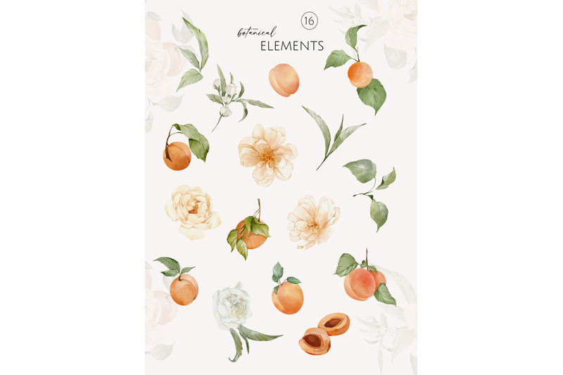 apricots-amp-flowers-watercolor-summer