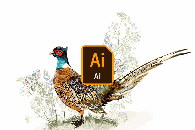 pheasant-vector-illustration