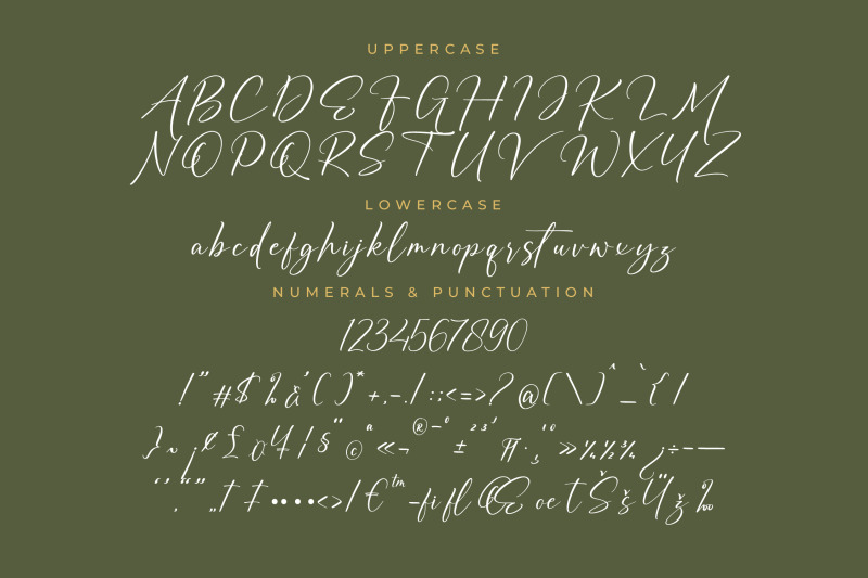 auronifal-meribant-modern-signature-font