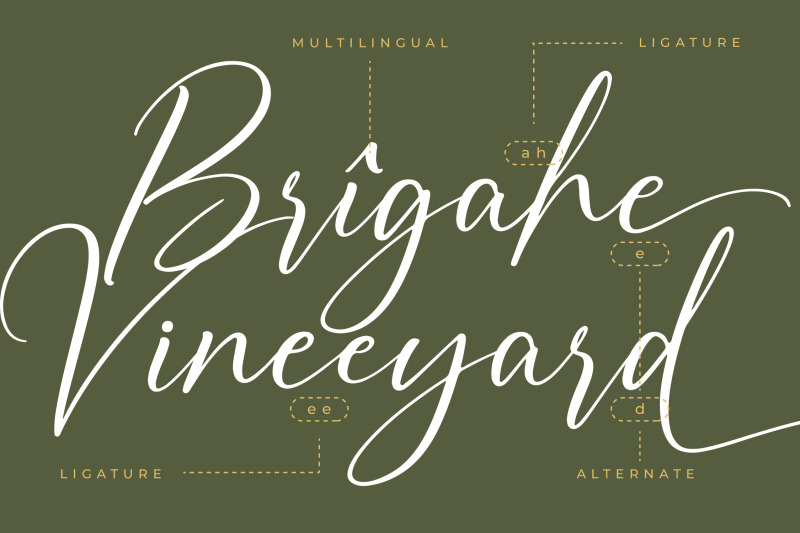 auronifal-meribant-modern-signature-font