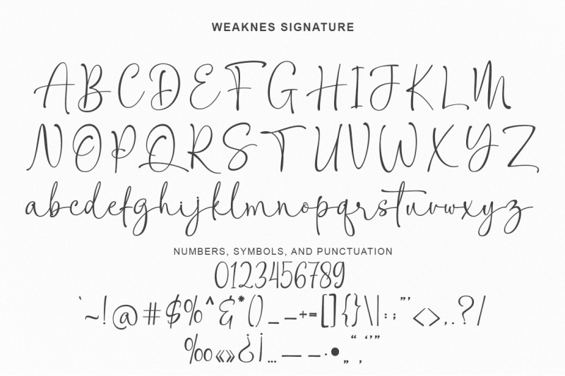 weaknes-signature-handwritten-font