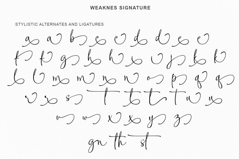 weaknes-signature-handwritten-font