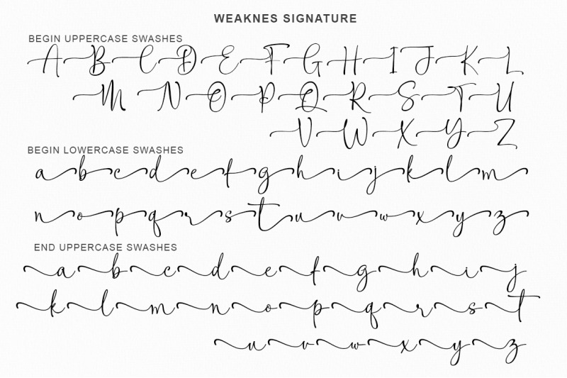 weaknes-signature-handwritten-font