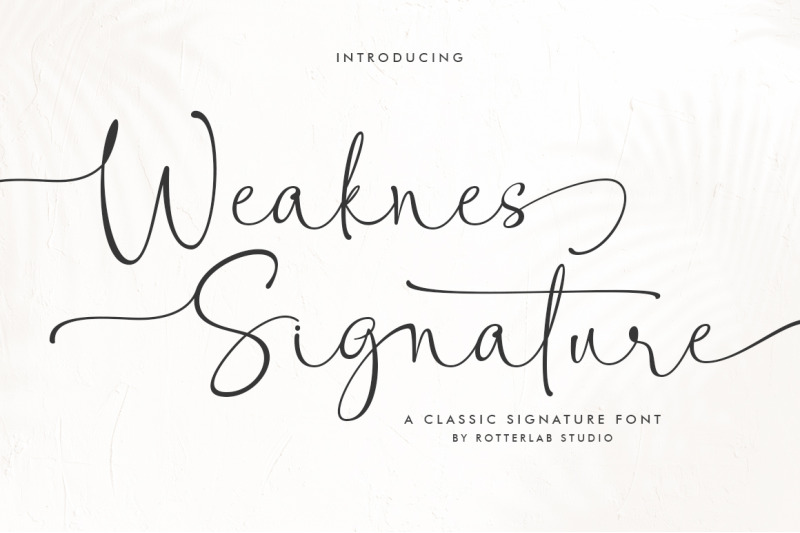 weaknes-signature-handwritten-font