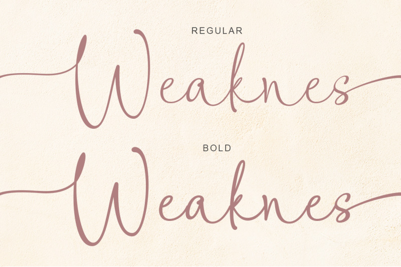 weaknes-signature-handwritten-font