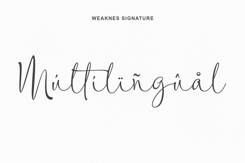 weaknes-signature-handwritten-font