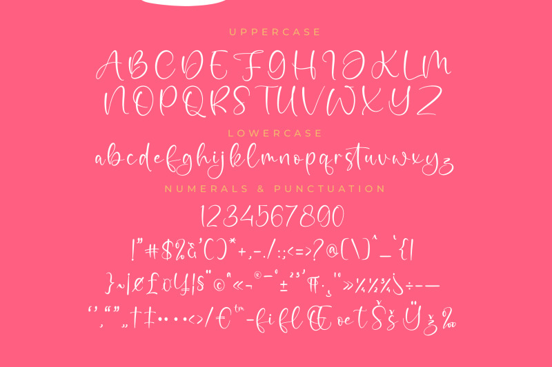 megastik-bouquet-freestyle-stylish-font