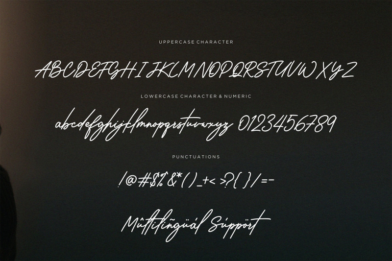 wantsignature-stylish-luxurious-signature-font