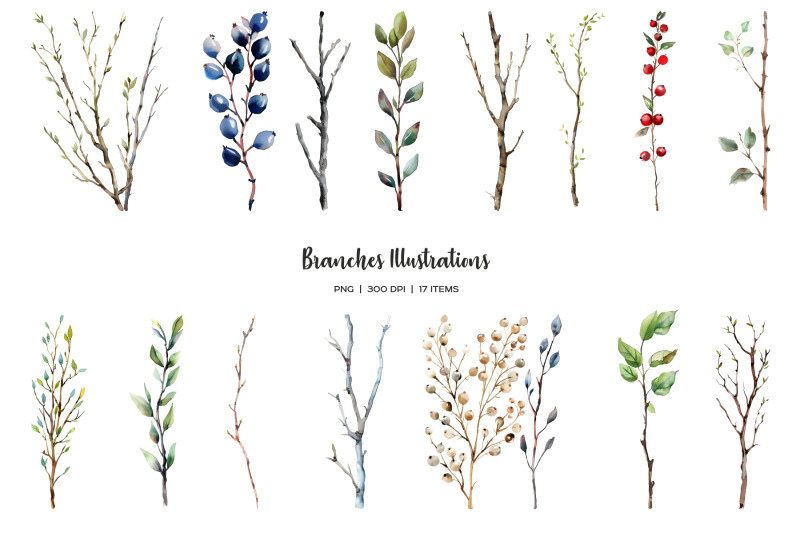 watercolor-branches-clipart-dried-amp-fresh-twigs-tree-branch-clip-art