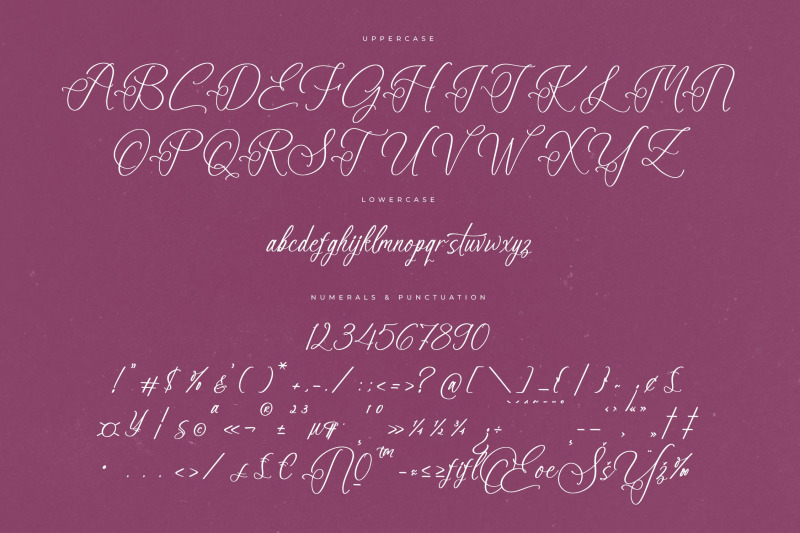 anastasia-boutiques-beauty-calligraphy-script