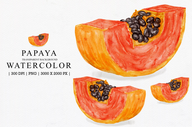 papaya-watercolor-illustarion-clipart