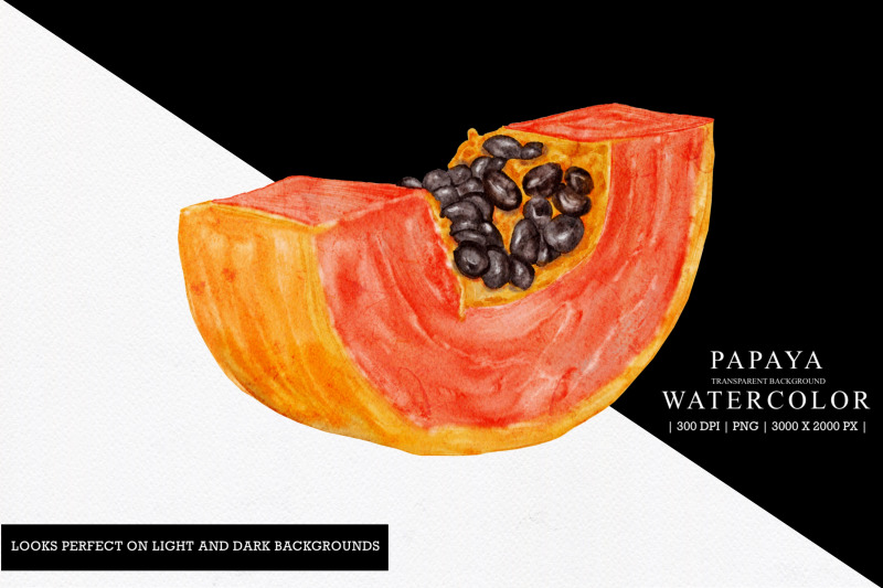 papaya-watercolor-illustarion-clipart