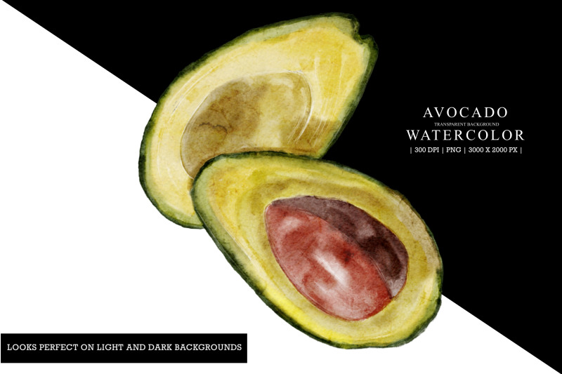 avocado-watercolor-illustration-clipart