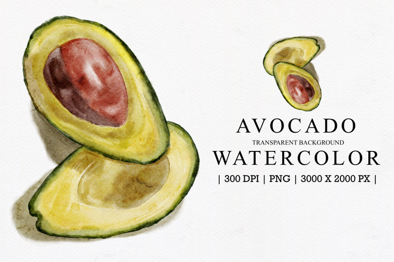 avocado-watercolor-illustration-clipart