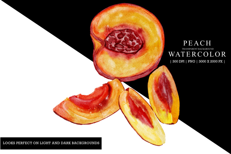 peach-watercolor-illustration-clipart-sublimation