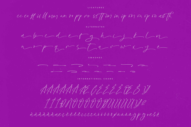 glistening-silent-modern-stylish-script