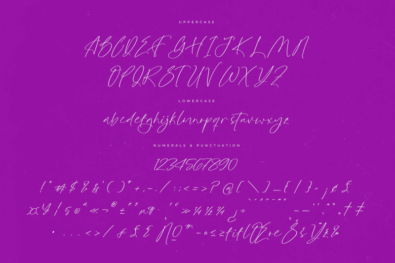 glistening-silent-modern-stylish-script