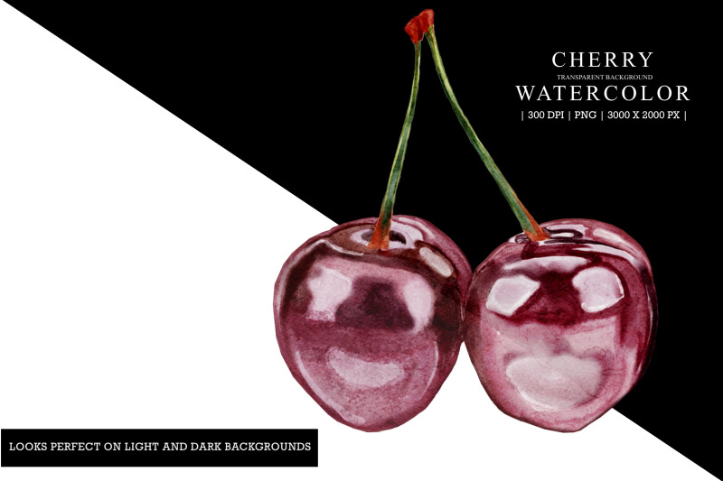 cherry-watercolor-illustration-clipart-sublimation