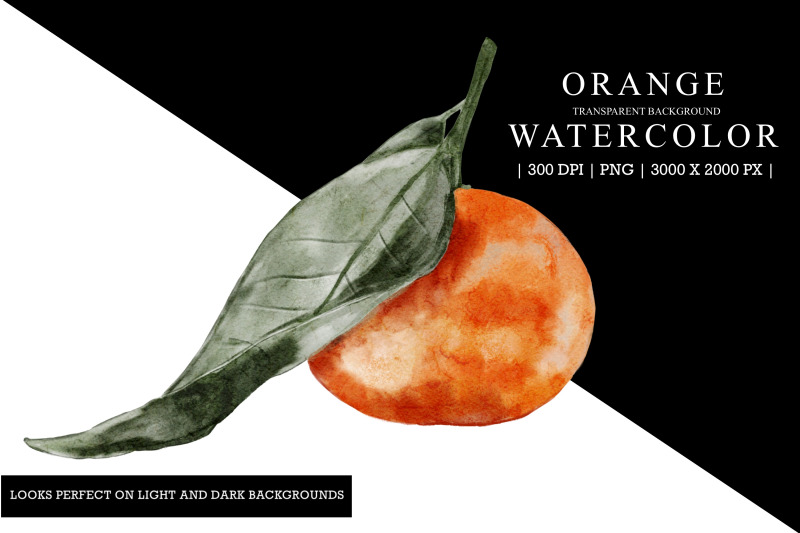 orange-watercolor-illustration-clipart