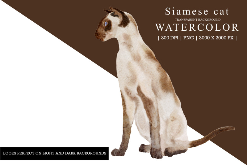 siamese-cat-watercolor-illustration-clipart