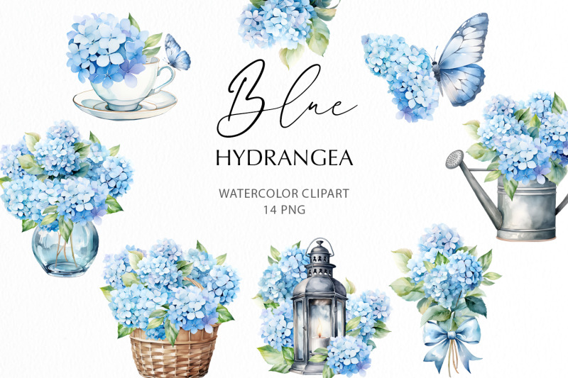 watercolor-blue-hydrangea-clipart