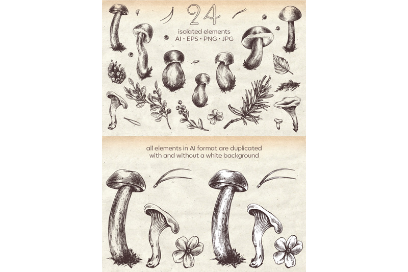 edible-forest-mushrooms-ink-graphics