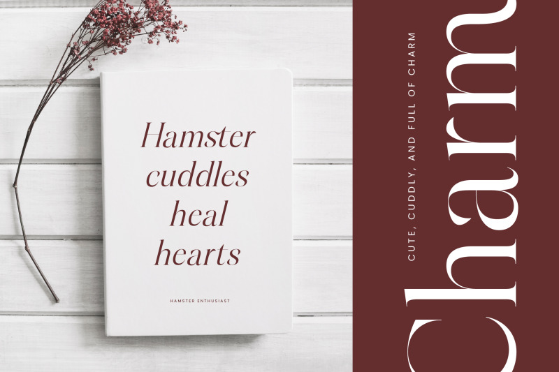 hamster-modern-serif-font