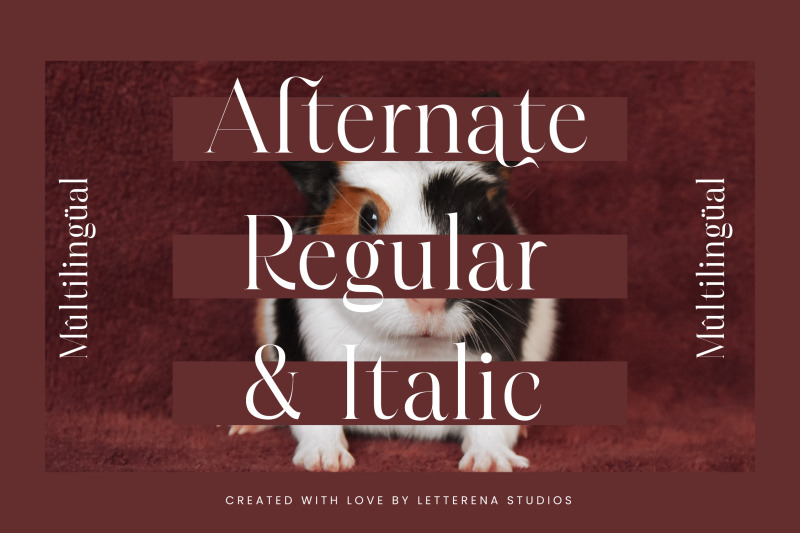 hamster-modern-serif-font