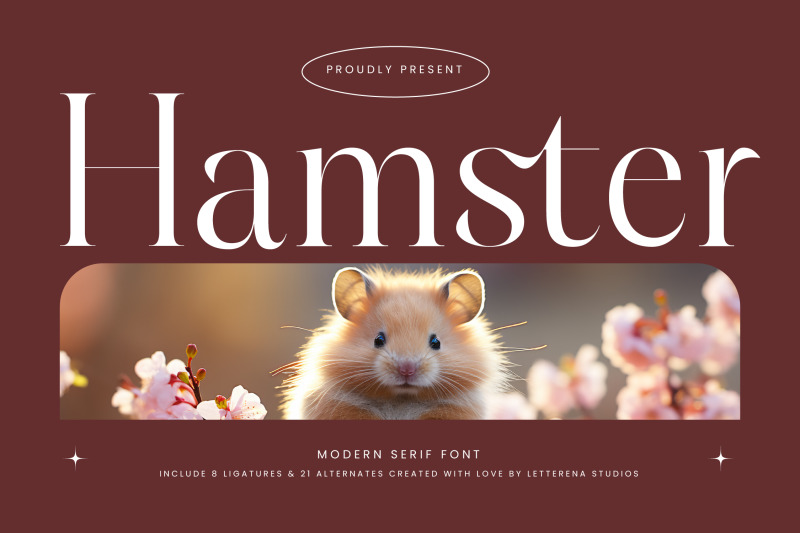 hamster-modern-serif-font