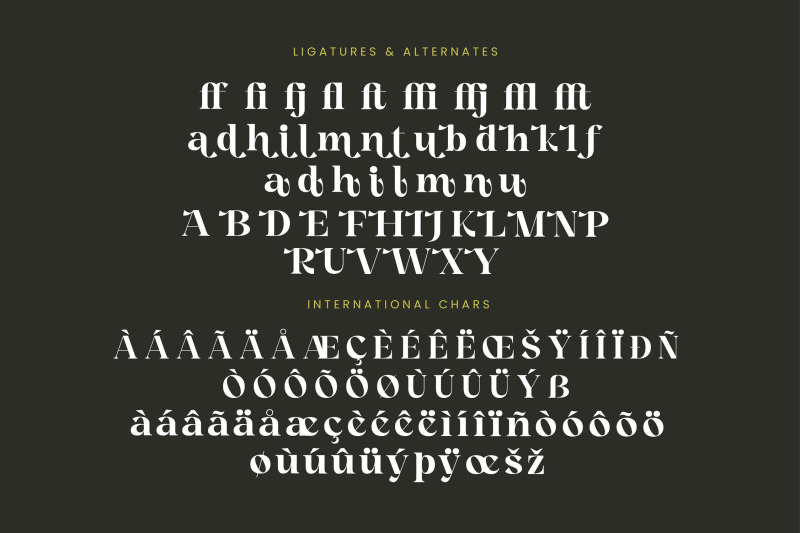 angfia-relaftio-modern-serif-font