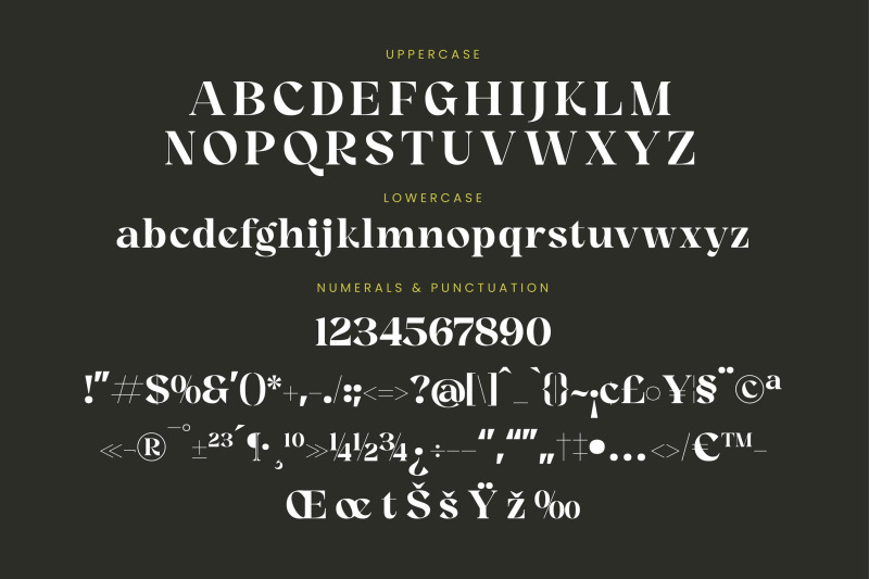 angfia-relaftio-modern-serif-font