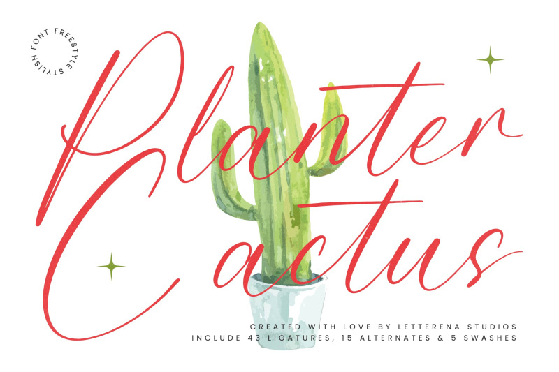 planter-cactus-freestyle-stylish-font