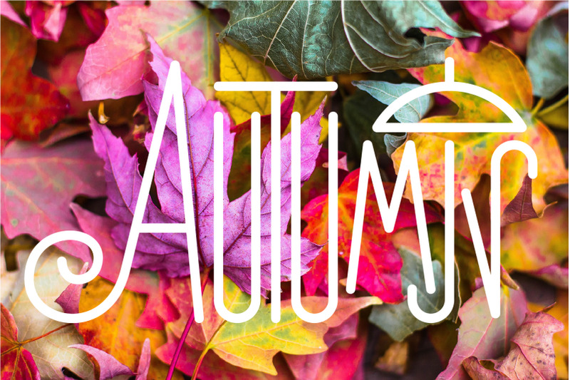 four-seasons-autumn-winter-spring-summer-lettering