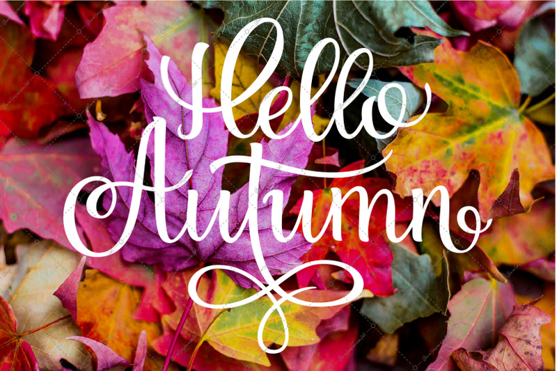 fall-lettering-quot-hello-autumn