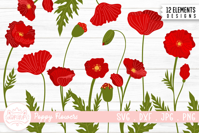 poppy-flower-illustration-bundle-poppy-flower-clipart