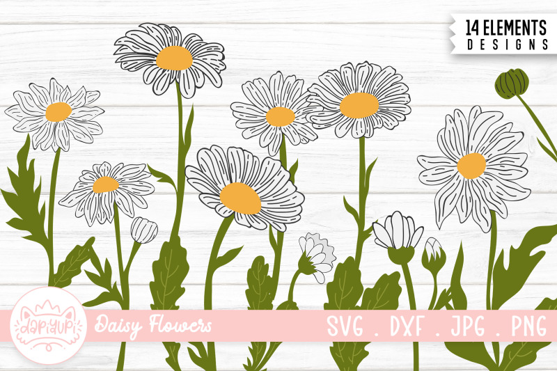 daisy-flower-illustration-bundle-daisy-flower-clipart