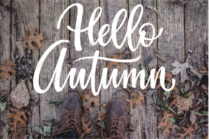 fall-lettering-quot-hello-autumn