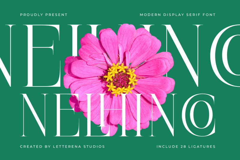 nelhinco-modern-display-serif