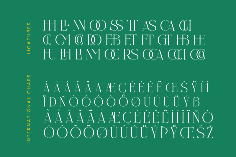 nelhinco-modern-display-serif