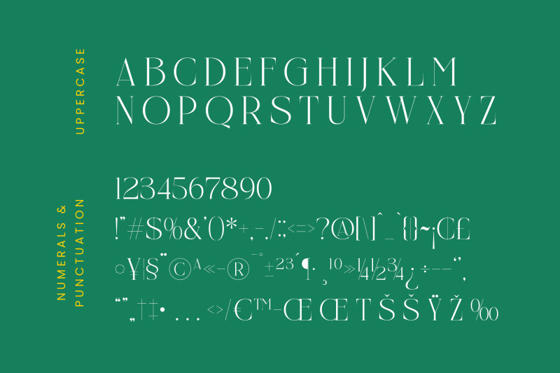 nelhinco-modern-display-serif