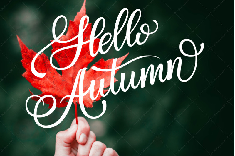 fall-lettering-quot-hello-autumn