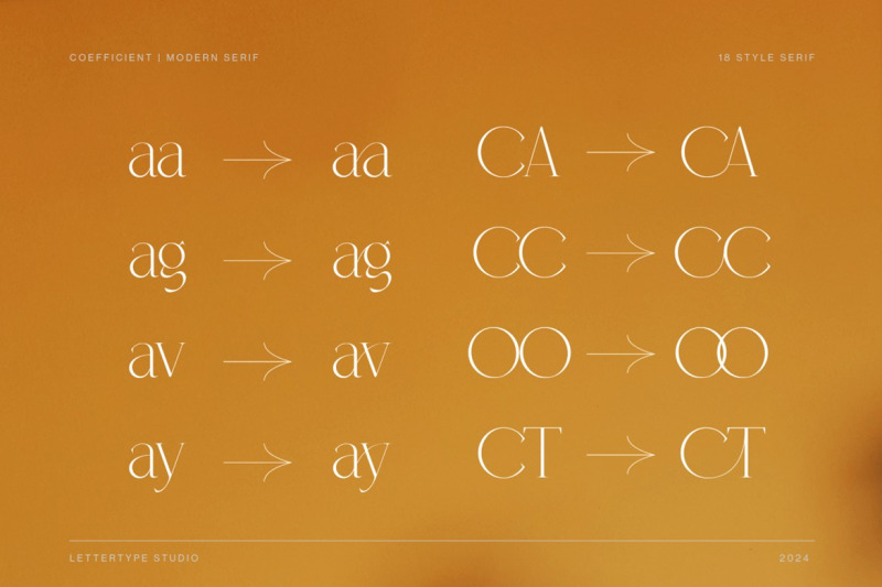 coefficient-modern-amp-elegant-serif-family