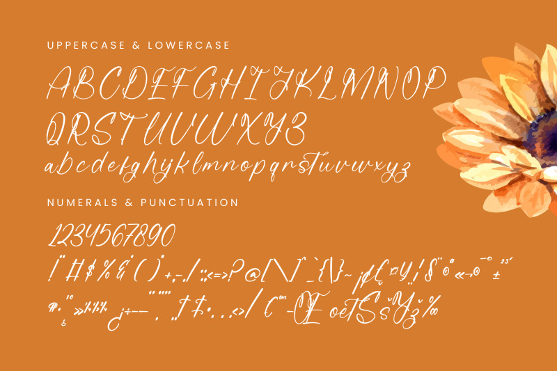 beauty-autumn-simple-handwritten-font