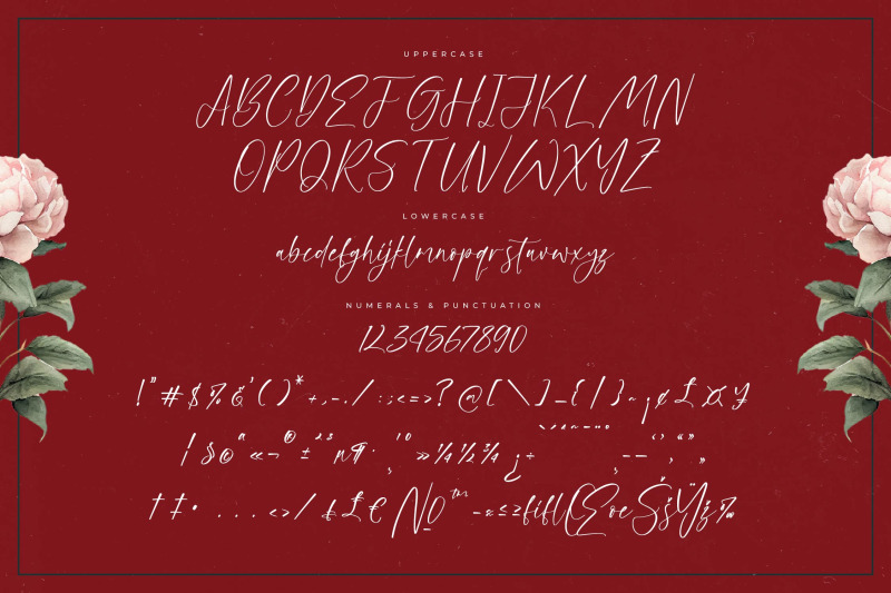 petalika-natalins-modern-handwritten-script