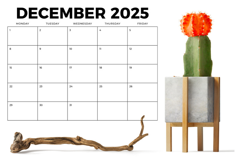 2025-8-5-x-11-inch-bold-mon-fri-calendar