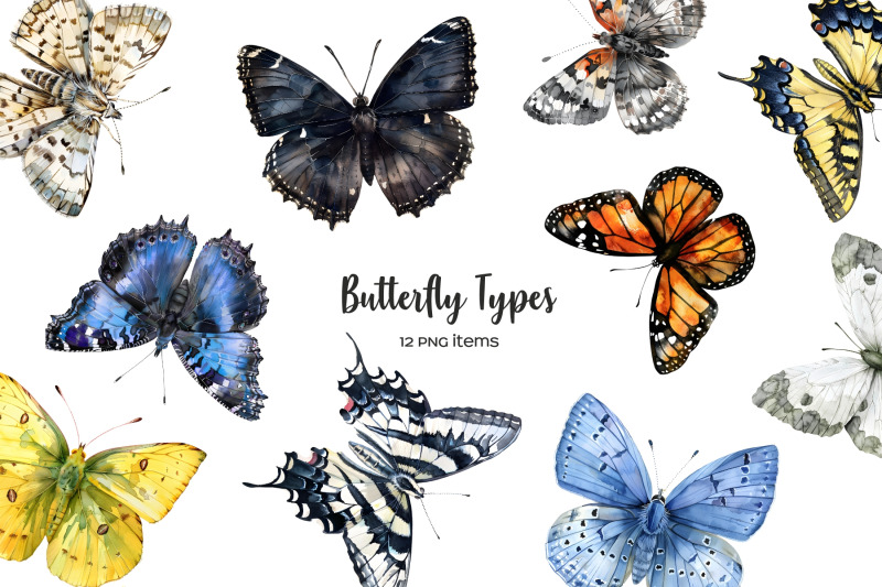 watercolor-butterfly-types-clipart-12-butterflies-png