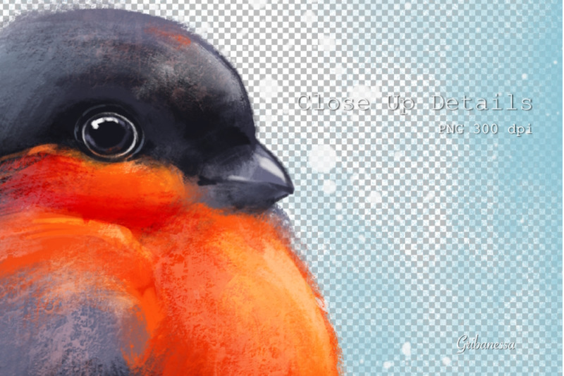 bullfinch-bird-winter-png-sublimation