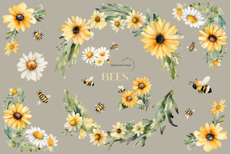 sunflowers-bee-amp-daisy-clipart-greenery-floral