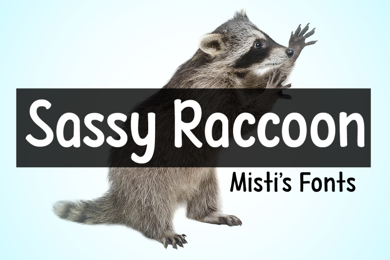 sassy-raccoon