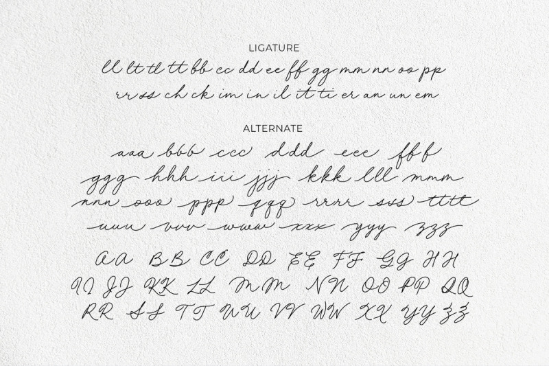 chatty-rolia-handwritten-script